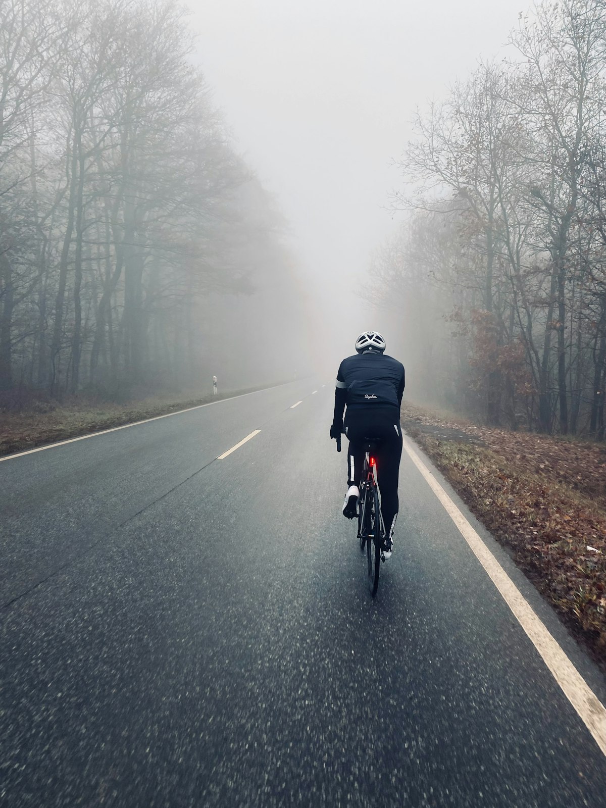 Cyklist bakifrån på en blöt väg genom tät dimma
